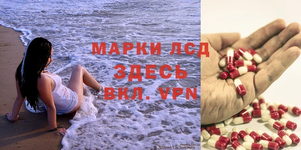 молекула духа Арсеньев