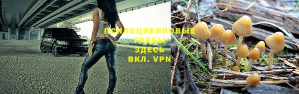 молекула духа Арсеньев