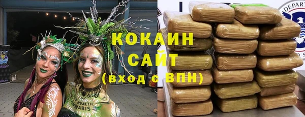 индика Балабаново