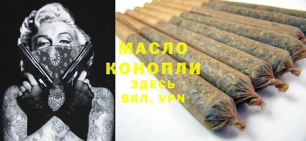 молекула духа Арсеньев