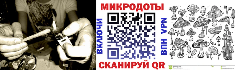 Галлюциногенные грибы Cubensis Грязовец